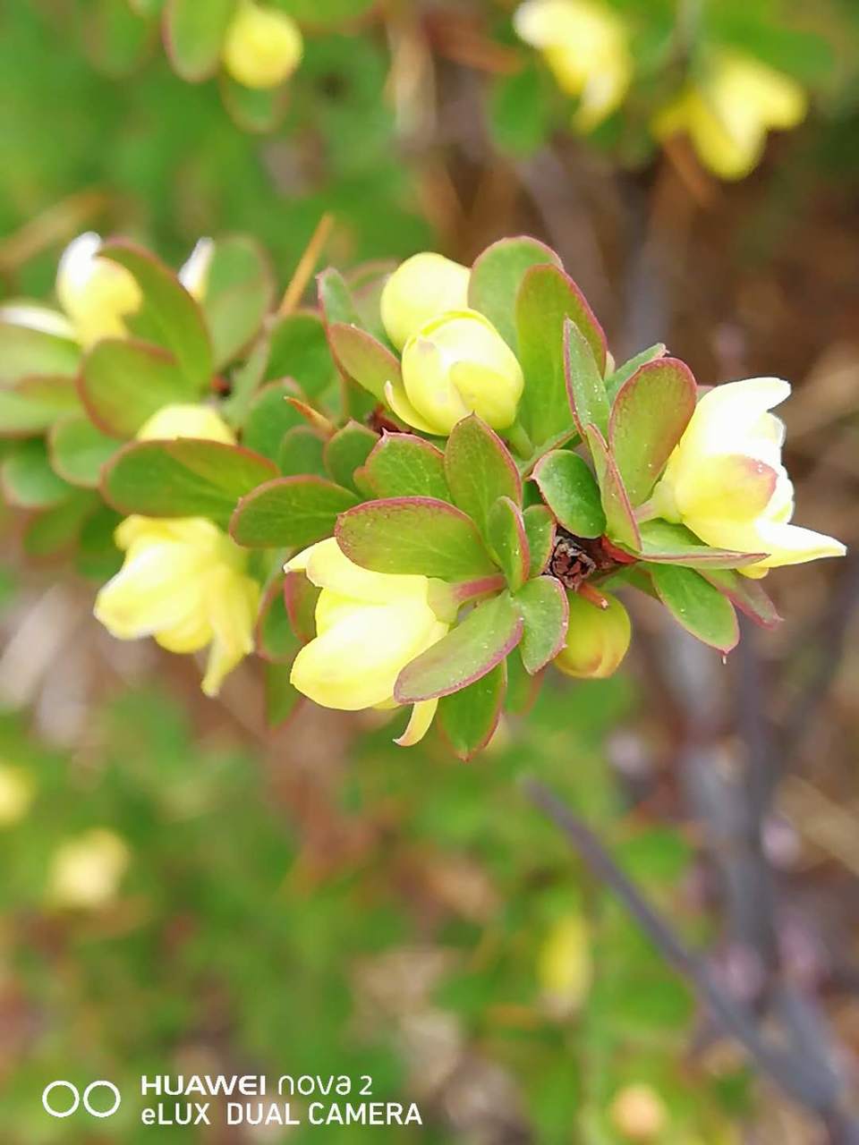 F6eTirbuFYzN97rYoH8DthaTD05-Yg6sHuHYexN4MH3uL1LVADnwPXnMdhRcjGOJ