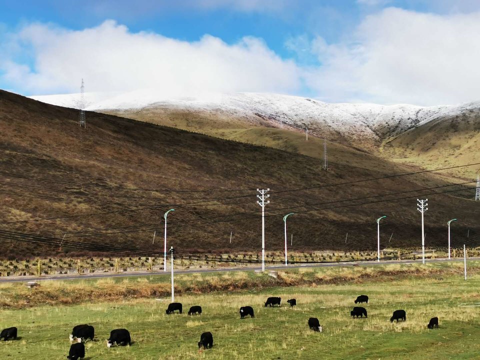 pesny0zpsKGzQ1WS2B088lf2Z4842K8kIJxXQc4ipFBzF0jfb4J_wTNce2PdXrf4