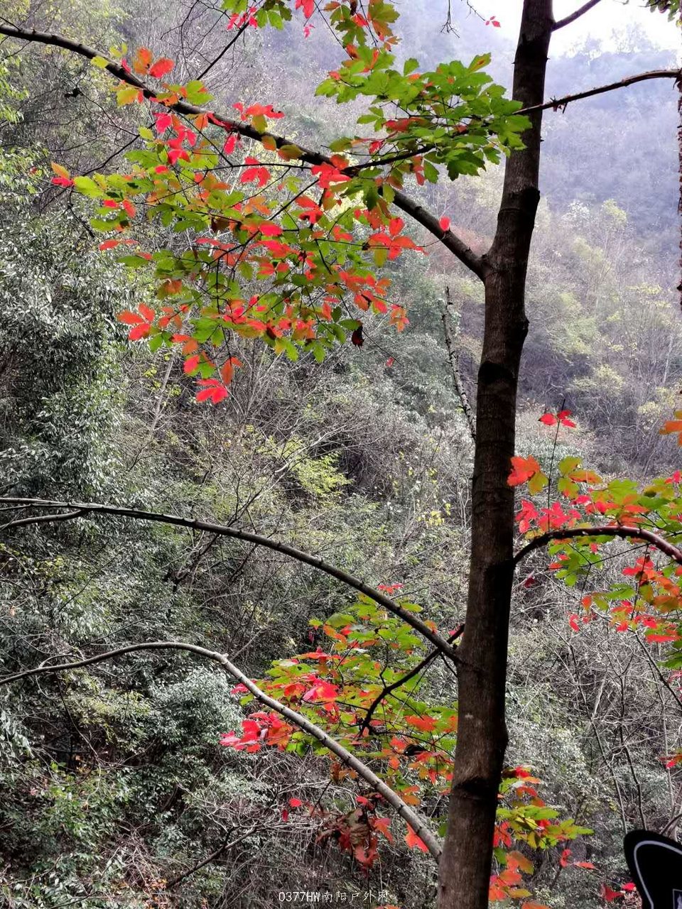 NDUMTERqA4_XW37TrAiKYAvvJXlVNfo8ADqfUE_DbRZu4W7flqUrjVkrbt75NHS0