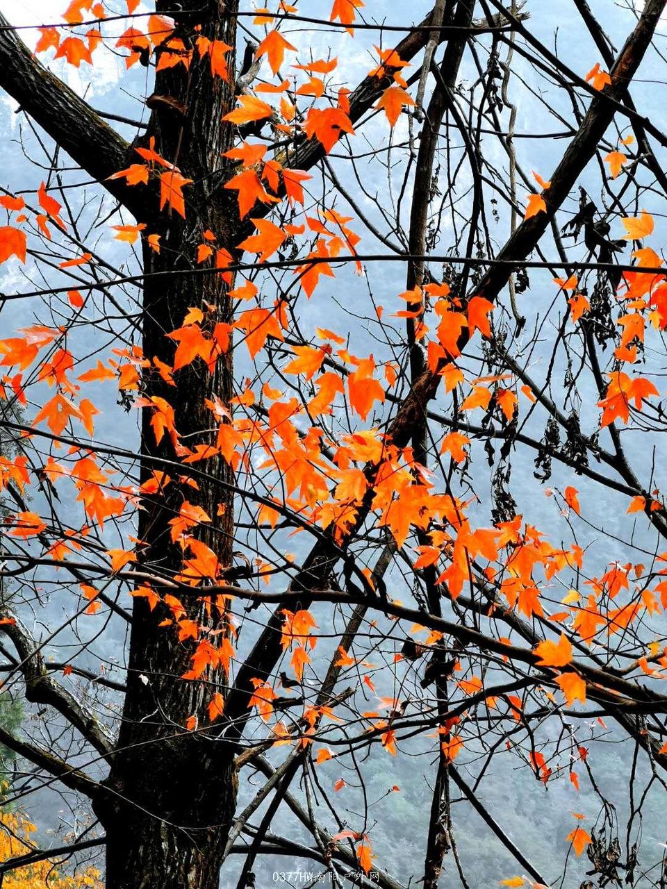 2AnQdzJtWZXEX2ba6iXhhE7E1XbcWf3rHRT5HfHxMGgdQk4MBa8KpmnMvDQ34x6r