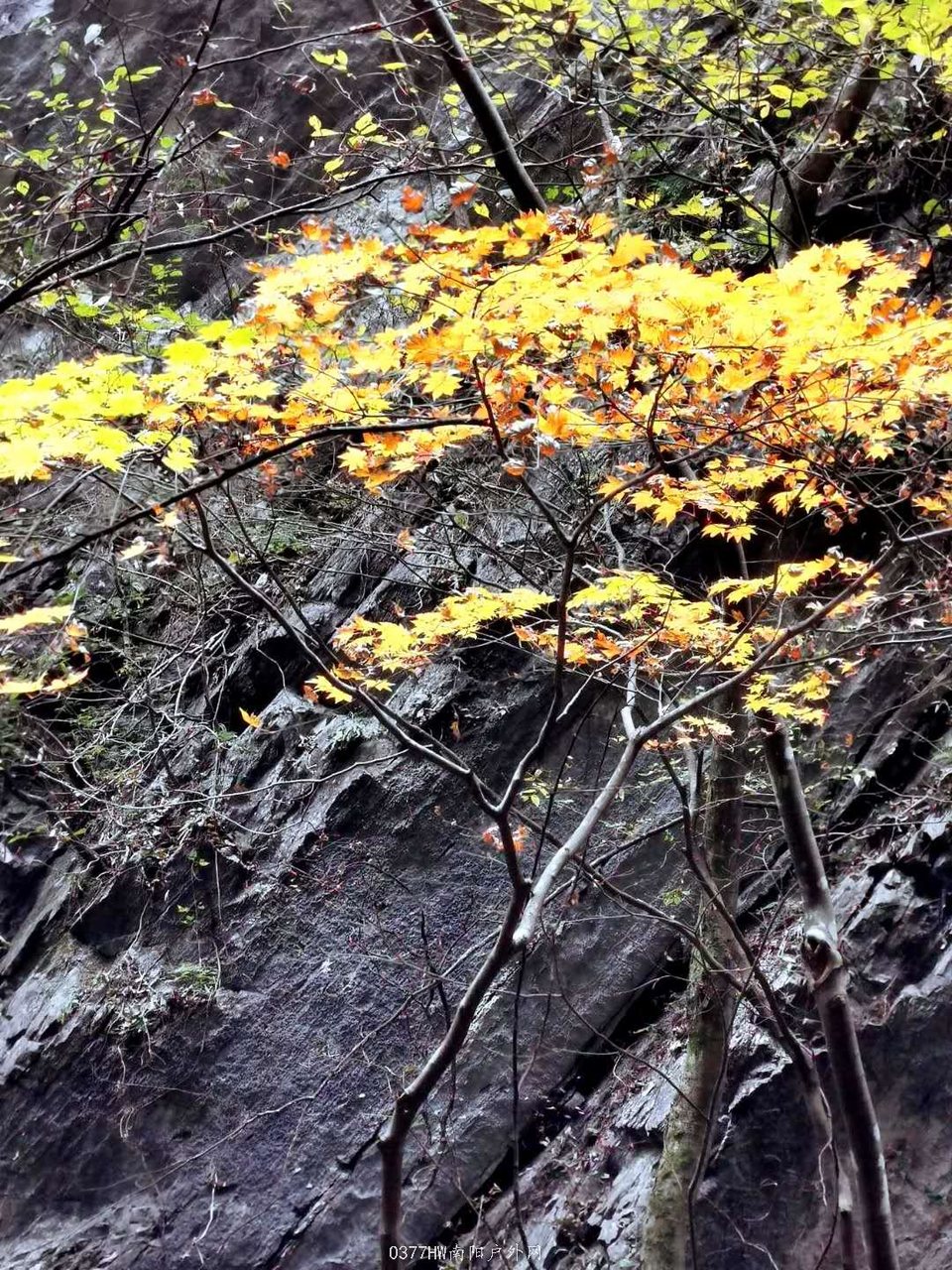 Ez-GgRvf3cDWmP17pnkQSbp4ph9-9Z0gwiC4k51NIumrfby2S4KXYFSB6Hvw3qJg