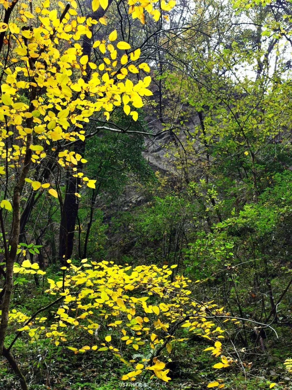 gV2nI8uIpFf7y4KIxi0rQtCkoxzTE3V-NmkOvpkh43erSnQbd-5OTFjEZgDWdPu0