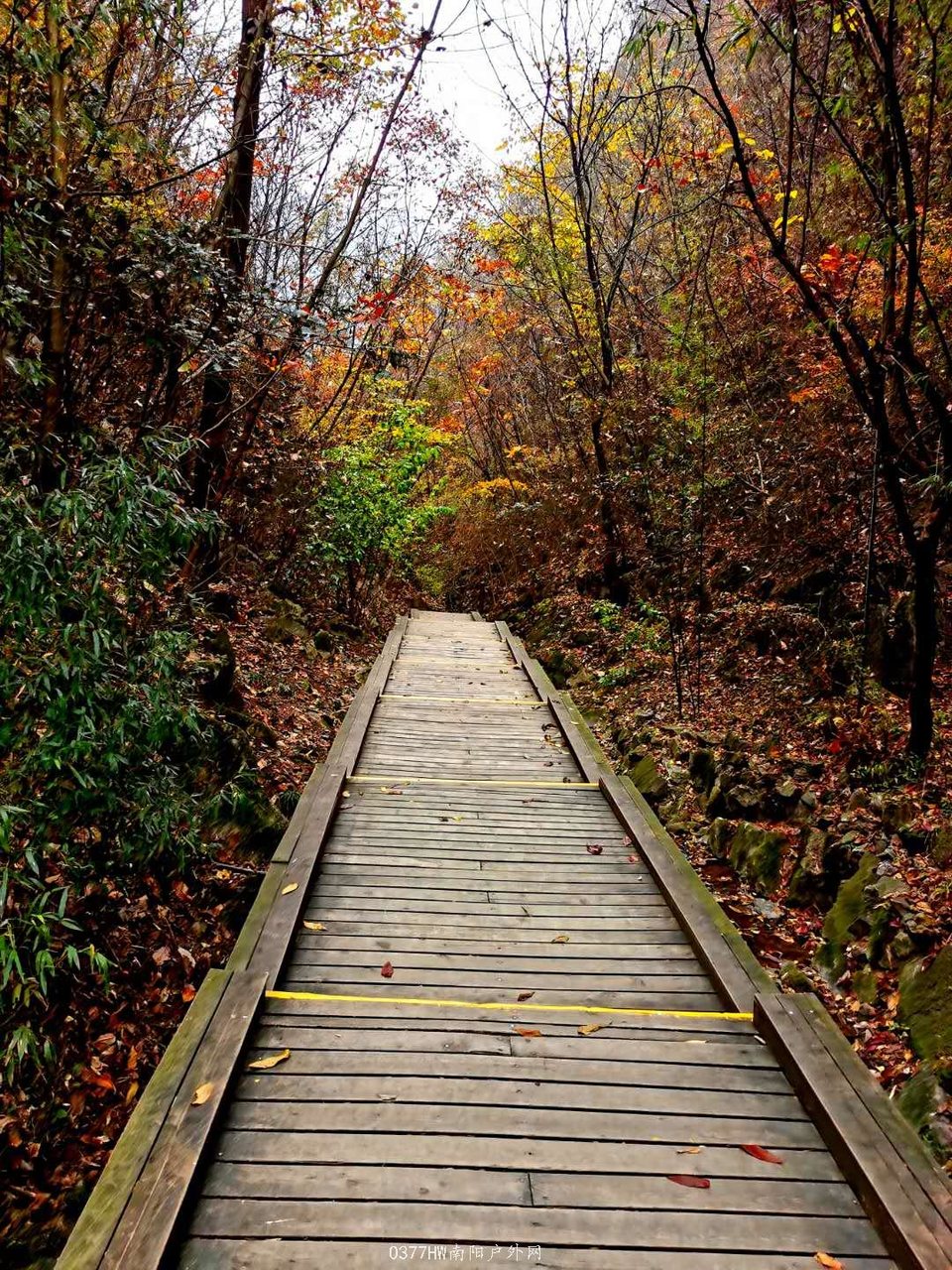 ZyQRST69rE3k2ZqOCiQVQ6YrH4jE3OnoIS_rV6dSEzoiIDbmA18yCDNVhz7zvT8T