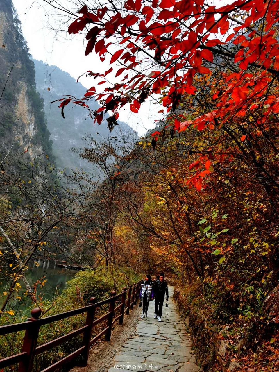 l8hmPDmvgsSVBZ07D7ZE0U32NJP4RU8up8MPIxEH9wbvwPP9oNBTi_ab5yIh8ZYm