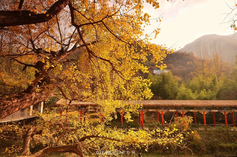 w18KbfAyKXZirjZRSwFgWjYron8orH6__jYzO4K1HOZKhIqm715EUwb4bnDvv4fC