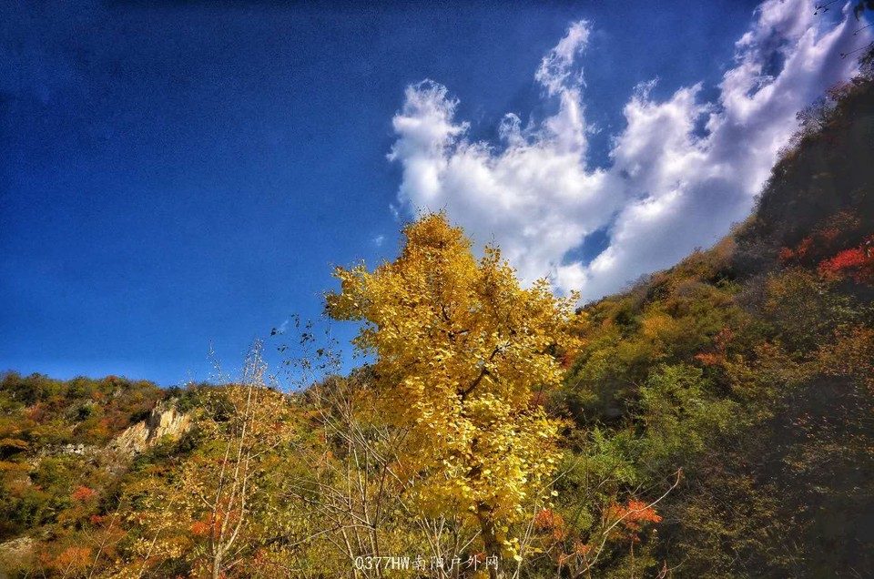 e1rIdKlRqBiuo8Ky51NQ6oZ5eCfz0vqVI6jhSI1UDxLXrjDaODv0bcYeM5TYr9R8