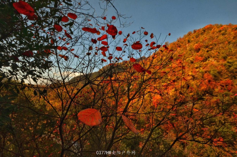 ppbimNTouSyix61h5f6jR71OogKBHRWXbKSQqBx7ZExKbq_3Mag9b_9nkf8O1git