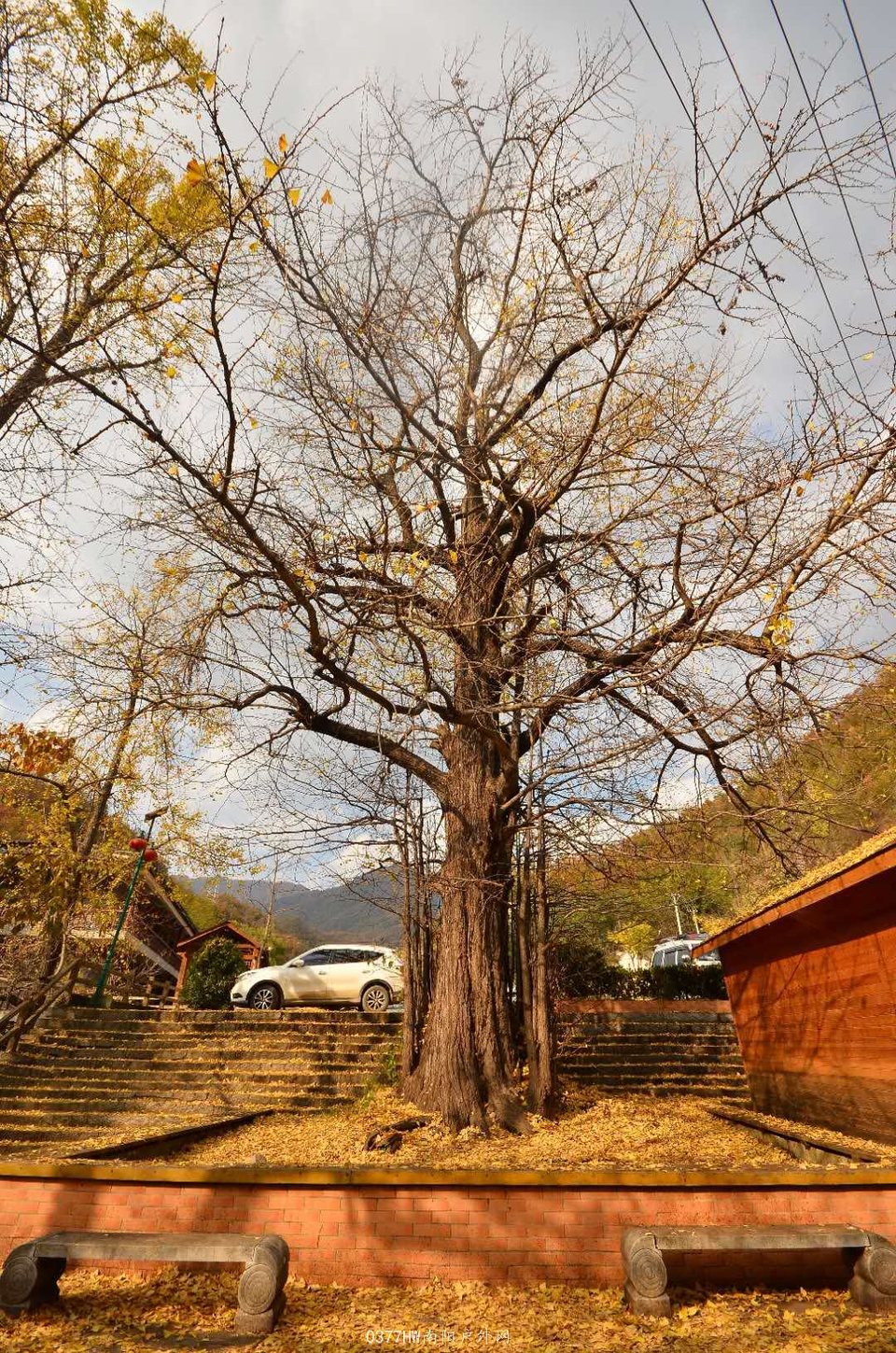 u6OdxxWoa9dZ6pf0jyuQ5C_ycECWIAQpqkzcOpg8EyTte8rhRYDaX3vy1DLpsahH