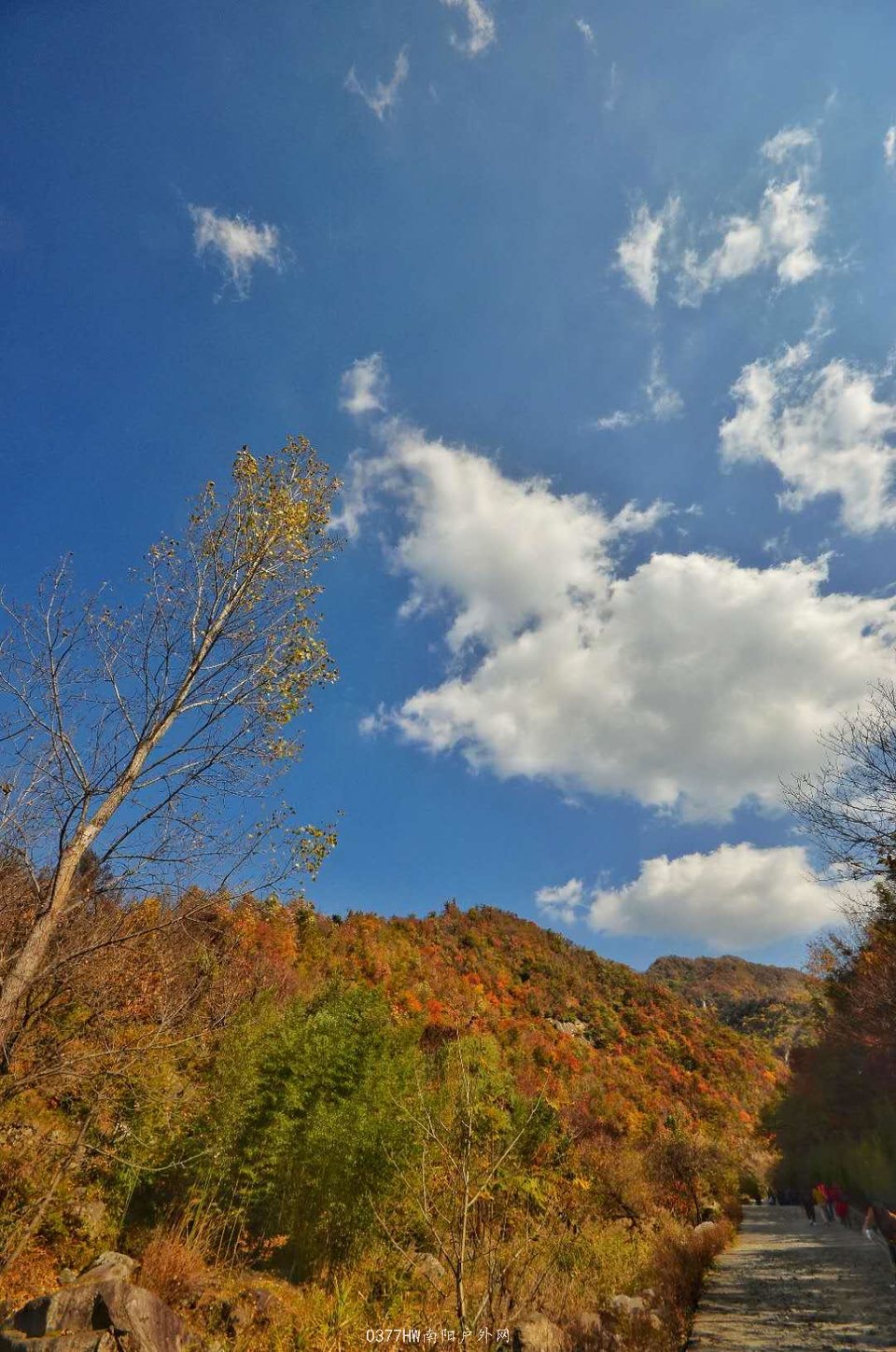 PIsaTtOvHun5_bUyi5FMJtKB8G8YVtznvfFq5WA6kcZsVSHtFvWUC1lA_M-8r_0H