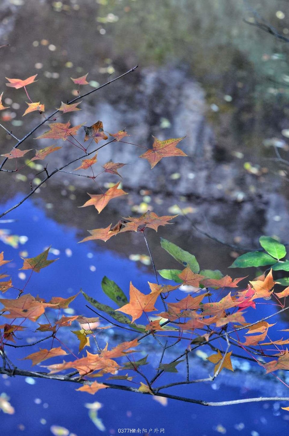 Z7kqrklzxU_216eVddAwaxLWlQHP4LPxi80BIlnt1n46pJDz2vxP65ZfY8rEBDu2