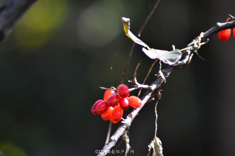 BlXbfrLepdXkLK1ElcQmiPOiDGBBuE4fgMIJspYM0S88do6kIDeLWIQpOPer6FLf