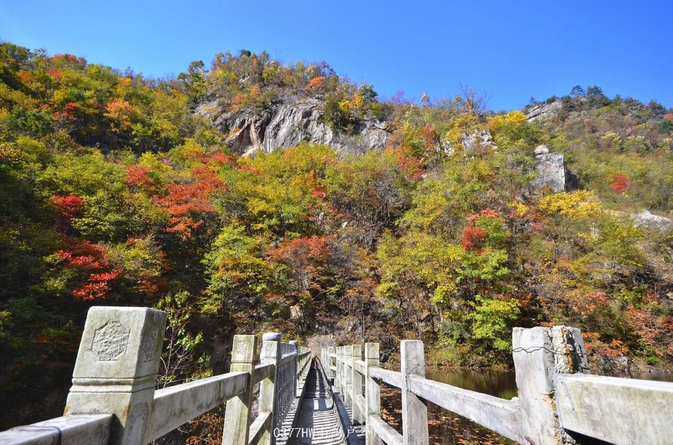 8Mxa80aGwXc0muNN2u-6UPg6Na7syDouxkYqg74umGY9pY_BXp5F8aEvbcqZ0zfX