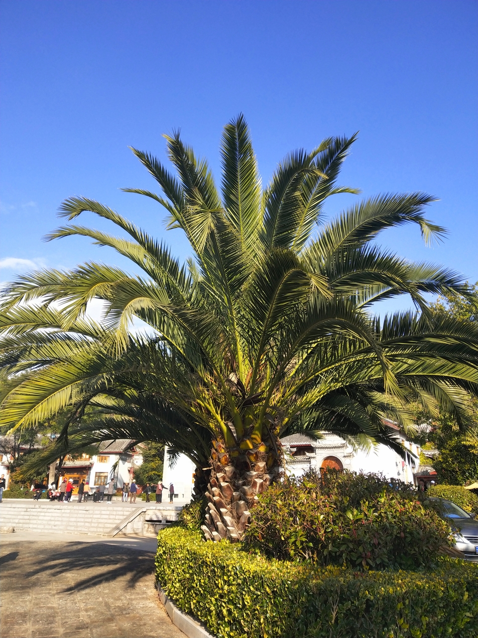 sGQUhcx1MXZ37BffDaCKjxHC3TP825eSzELlfZUGTazAtM-6SlOfmL2u2d5SZ_oX