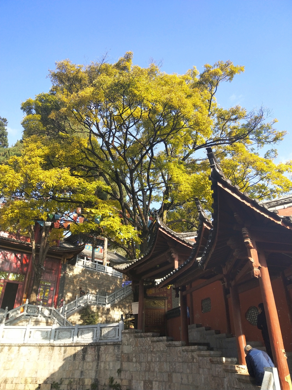 DNwHfOPzJjmC5jWDgCT_Ii5pIXvd-2vNuMZhXhCE5pAVoNHnhqgsCrLTE1ft_NzR