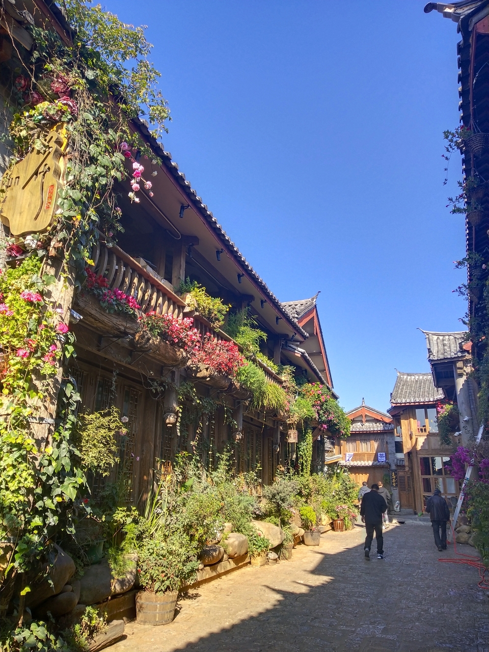 4KjOudsd4E71muhvXFzzzd-OIcP3AtsT2teL3tuoE9B31vHd3ptpi273f6tn3SfW