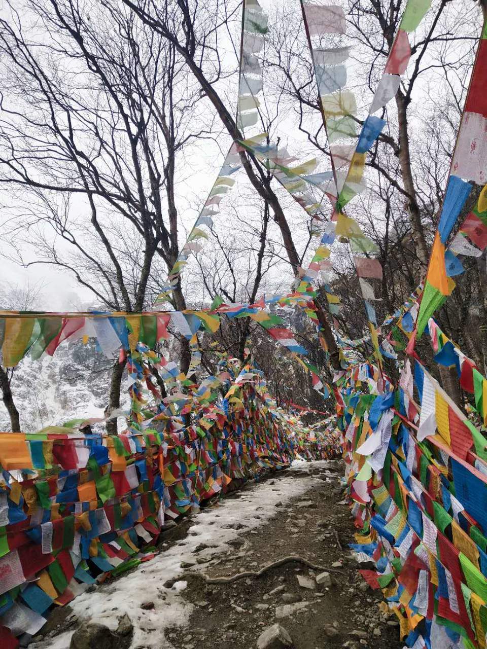 Er_GXt2_fY6IEsRA4mhN5q56trmPBeGf-I4FJgnUq8L6N0epsDwxH5wdGphxIU4_