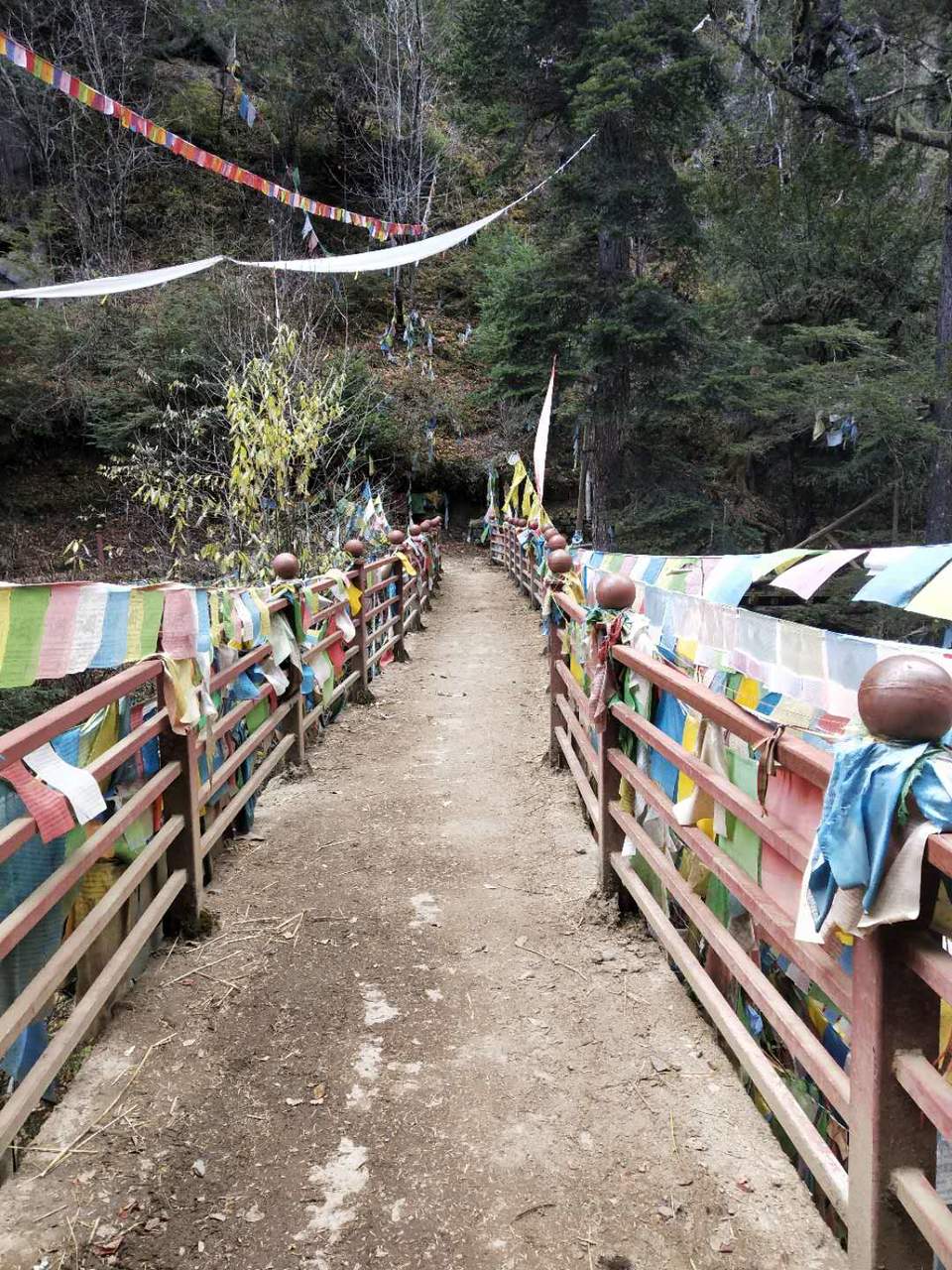 9BrXi54Cqs0RtgdAV7s1Drq9vXYrMIjcftOXVtFvIOrMeZSWXRY3djhlI-B1DbHA