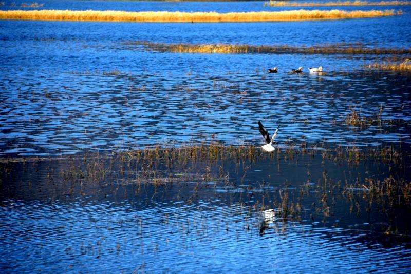 AgMs_5iMULrc93r9sGncZ_M8YwUD88HEUeJy2CdHYE_jKgnSQYCEXpiK-ER8UkSx