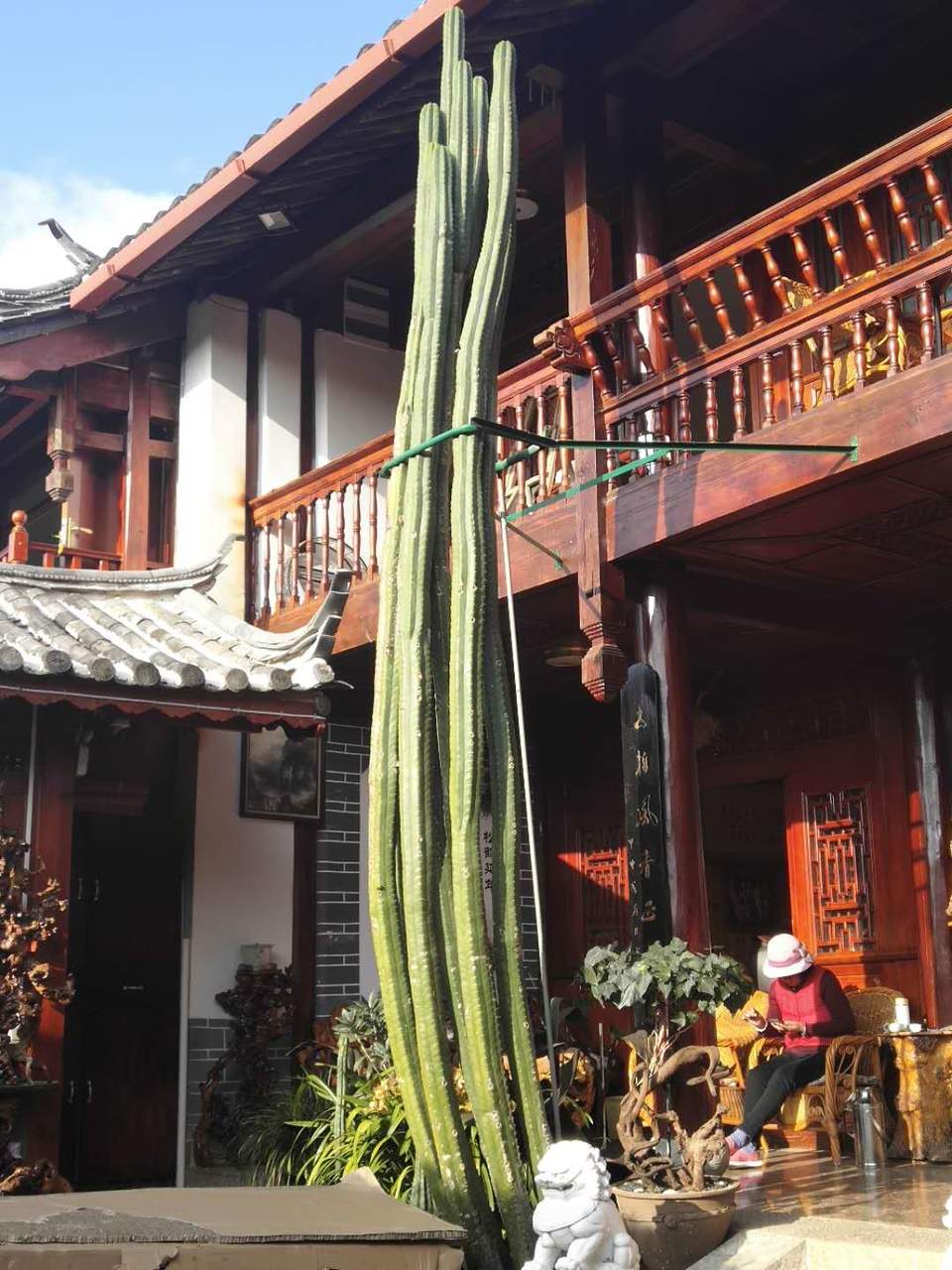 NAvwqUK_o2qcqLmcbsMN8R_cy9M5QzkTu4L1xHe-n-DYmpKFZpqJKbugmDpQR7WE