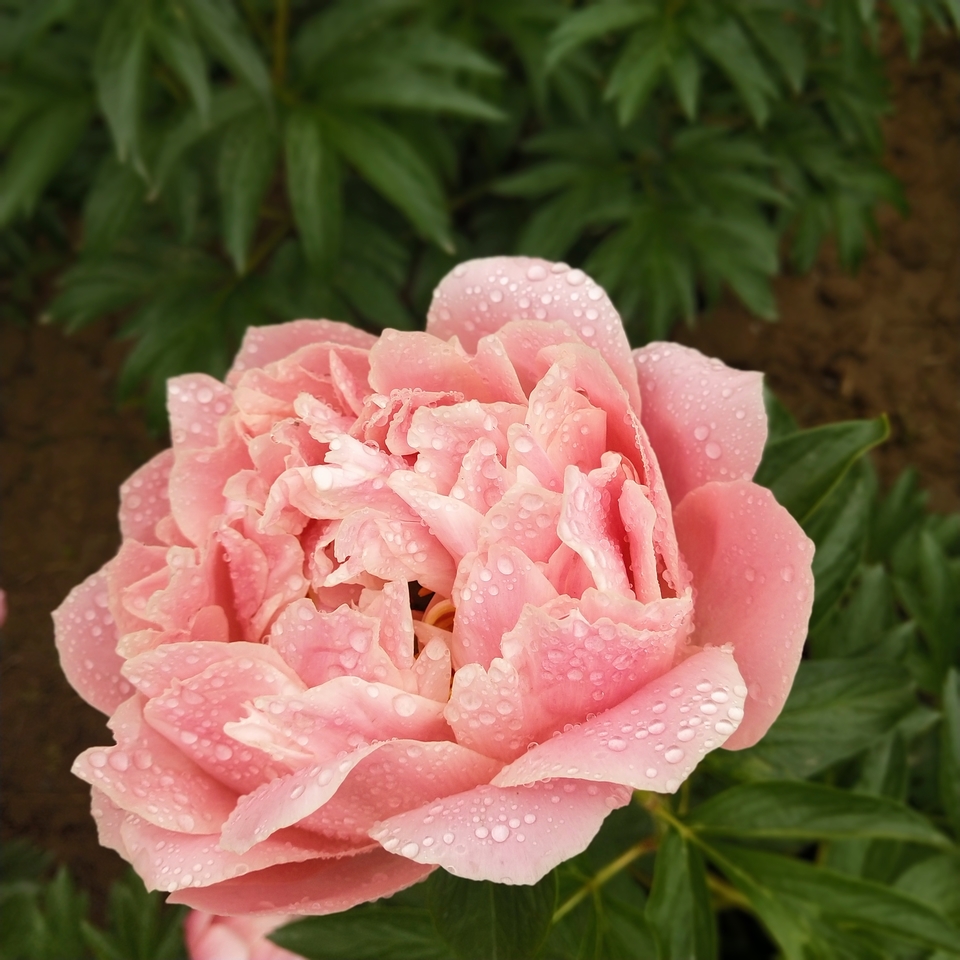 7Al7QW7dR3sKkiaxWlExWtQ3LOm2f6W2b5-f32Ij0W4BaobbGliht3_qa5L5SI_C