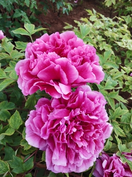 eeUCaOojba_b1K2LSQY5DfkBuFNttNP1jtknZgqIpGrt23Z2n3b-cPflJuEx5ous