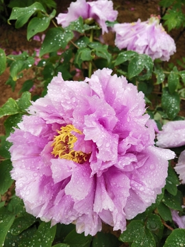 MnOKyo10NB2tfCTqSWThIS4BOSZVIrfnA5SrII0MNvNwCGg36J0W8gQM4u2FJ5uI