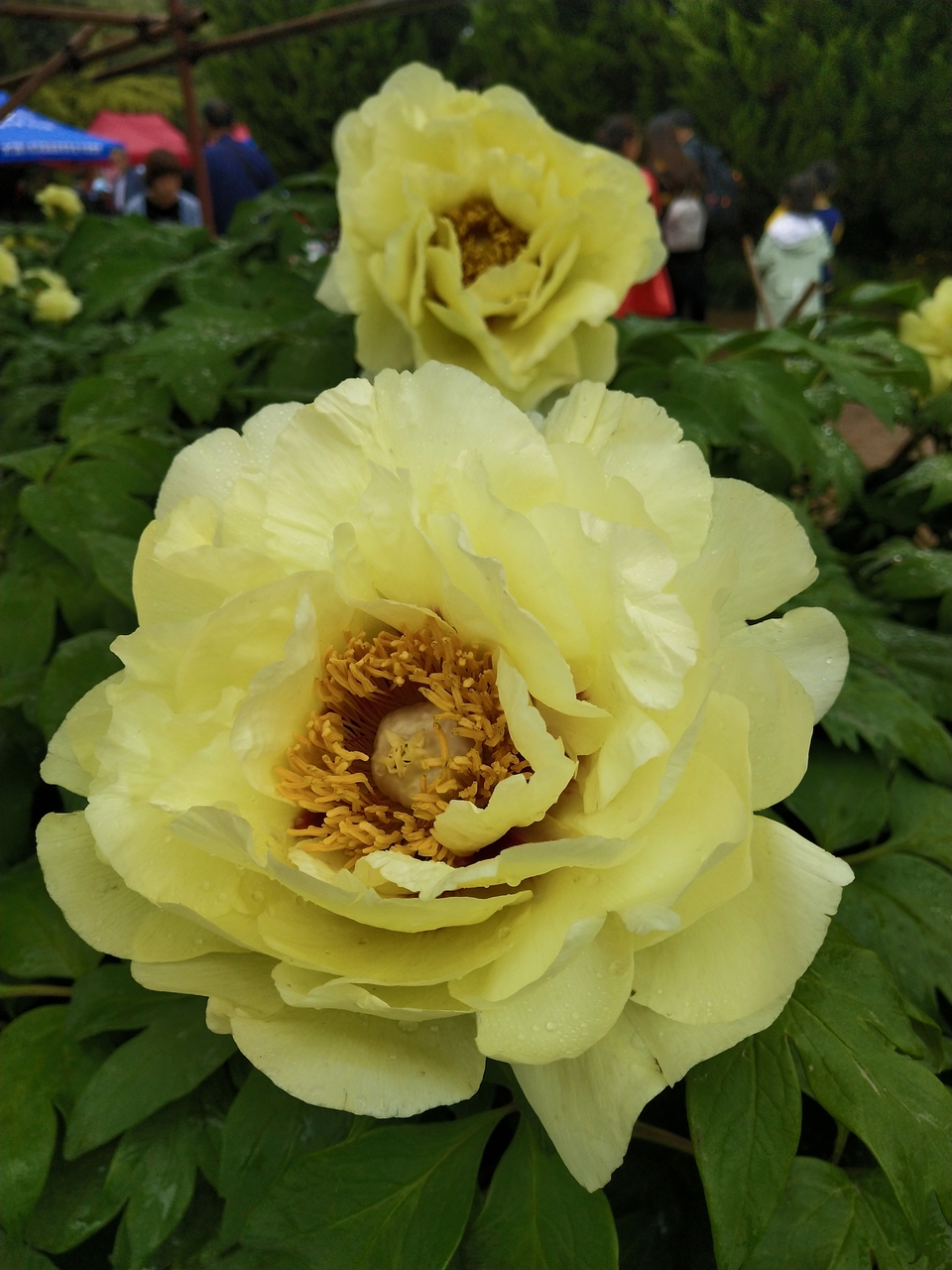 rfYS_Td28zm1duVuPfRM2gZkvLKSQBbYrcwpzlq9PoaluGaLjTxshxEWBekp1r7W