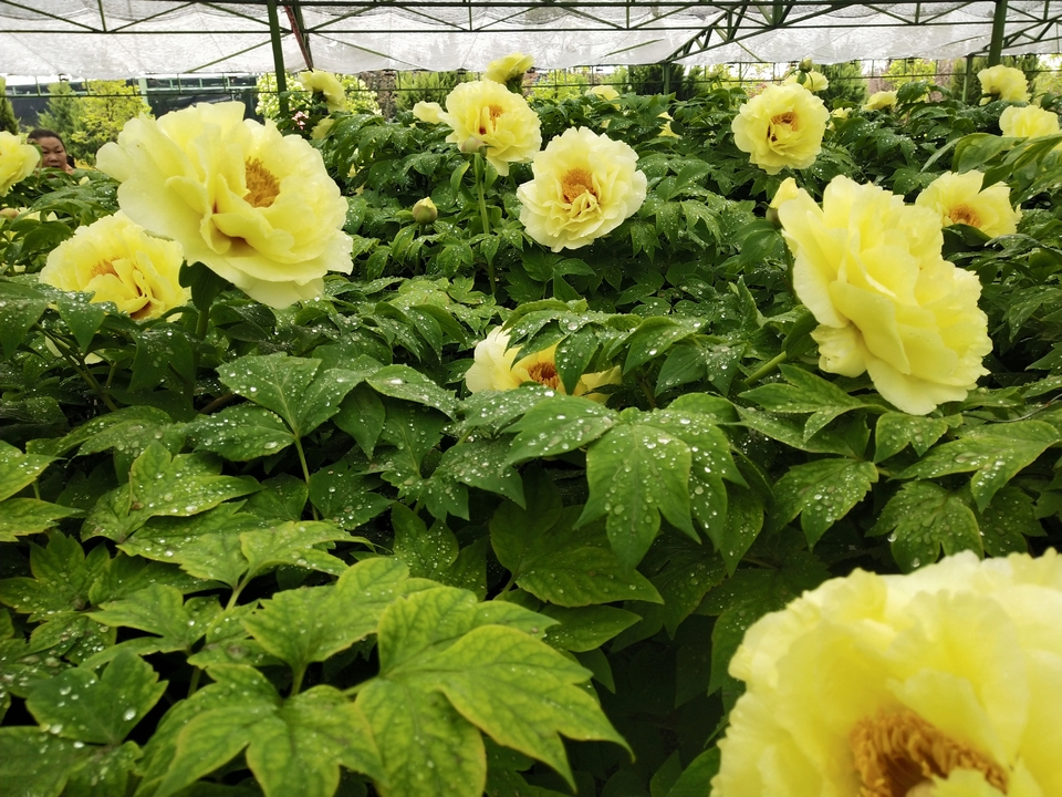 -tUhWIkMjjtOQw2BcvqlzM6vNqLO3Ffw8Hw0x6W6EtIj_TZk20UdUpLDvgKiIt-i