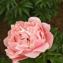 7Al7QW7dR3sKkiaxWlExWtQ3LOm2f6W2b5-f32Ij0W4BaobbGliht3_qa5L5SI_C