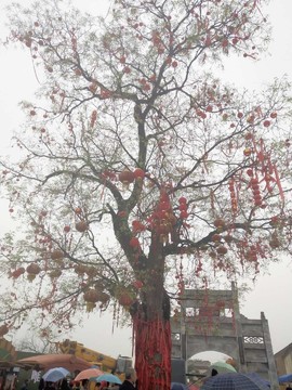 Rlo8qKAFcCEiq2UaaI5cz5ezp1Lkv_utTpV6Aw1I0eTGsGuul9i4mz5cpUoRiYIQ