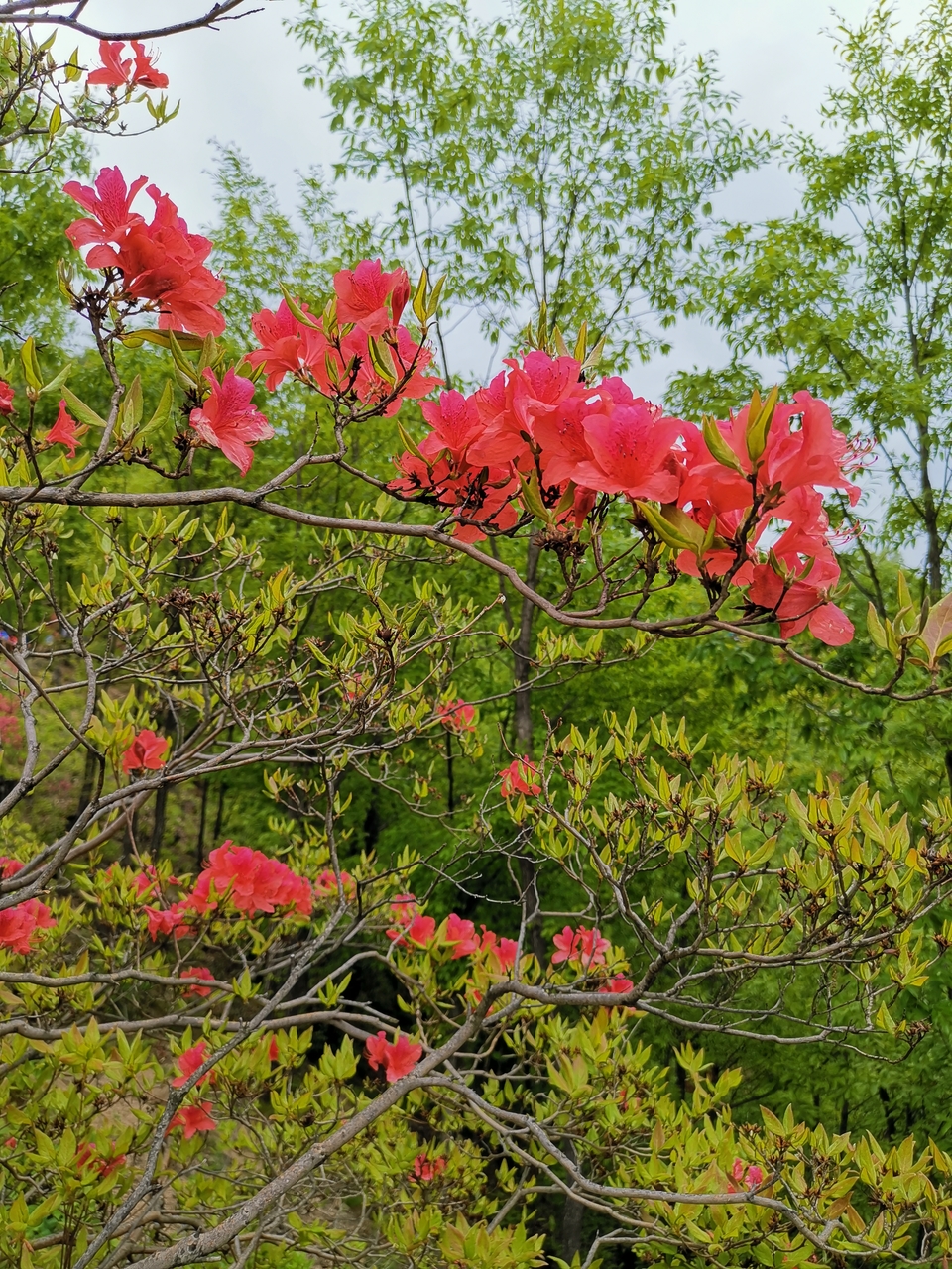 u0ZFYK9EIYatnWn3gCL_VnWqZvyBwBq0UYjlVDOZ4N3pfujd3igMYWdgb7DrnBcz