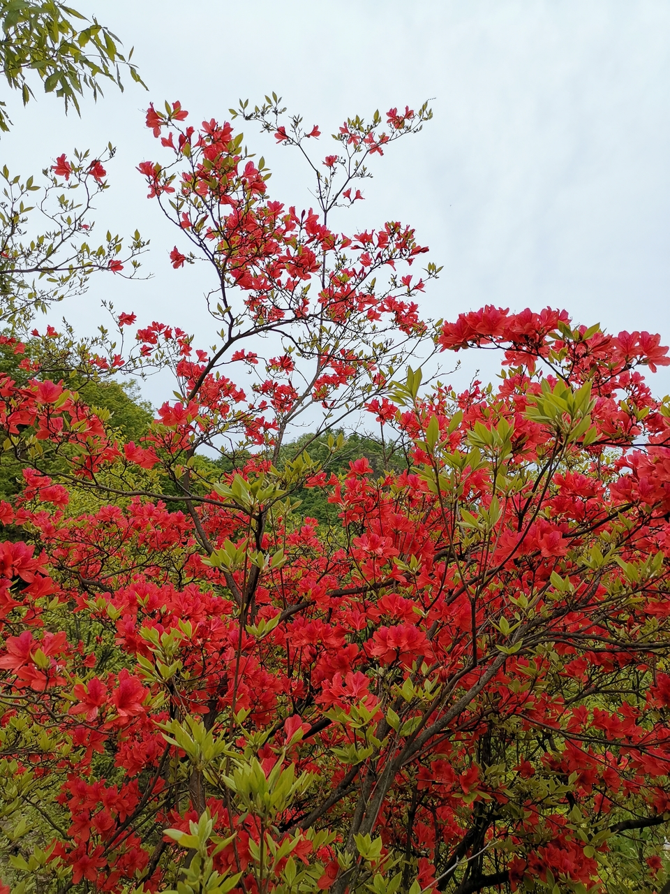 -XBr5ASBn8wFh6BUEBL1BW2cStwKjoDcgNs_SXnqOb52vT-gChrPvZfQwbH7oFiR