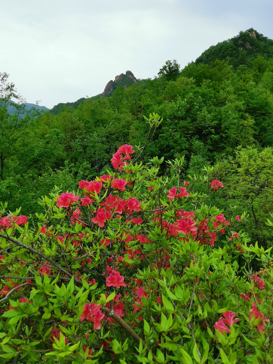 tfCqB0uL2UqonRtr_eLNRm9tW6kyizRGaRWoH83wdtUAitlny3Ovs9QpyfmxlU9p