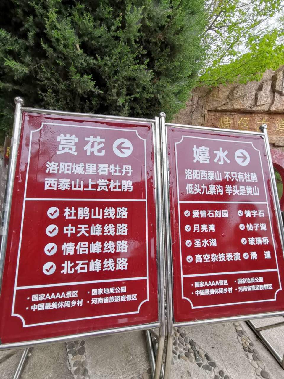 xmTPi7VjuqLjqNcevmvWf5hl22U0deZ3mbpbd0btva7E30nMzXE_9n6K4rai-fE5