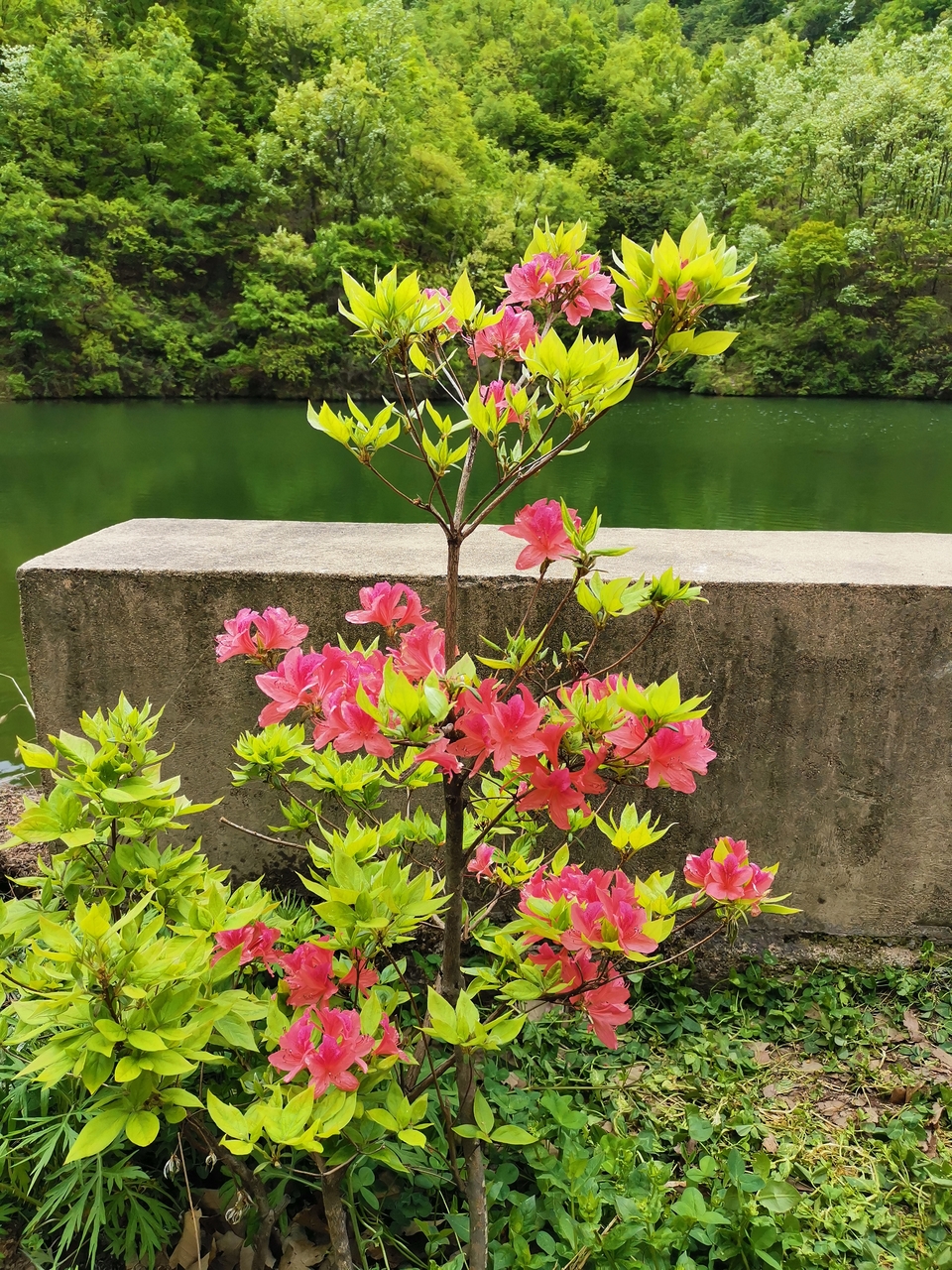 V3FD9dOlBBeOIZZ6U7GjQzt0-RIMQxgWEUSZXRRB9p2Im1dLCwOZTwTeFTO8gd42