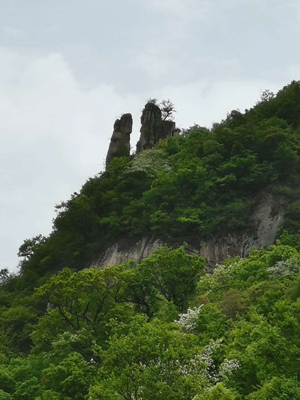 wdxuFwx7V4YMfMy3uKVYsXPPqpP92xYGFFPzmGjQ2vPat_BGrc4ONW-8qou-eWXm