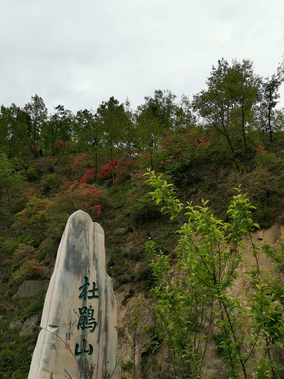 UGPFjGZ97R-rSNnnjraqK9nGqaG7M2_dpvt7HU1yRRcHUKlWEotVI_tgpmRcyyqF