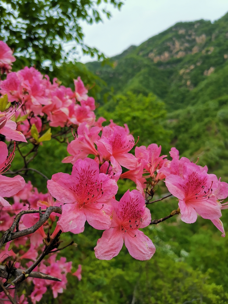 H9ZjvIjHc5fP51lYbdtKUNh1NBSIJegIeqWo4yI1yi2nYeTDN9w3gqwcrIpPpZfS