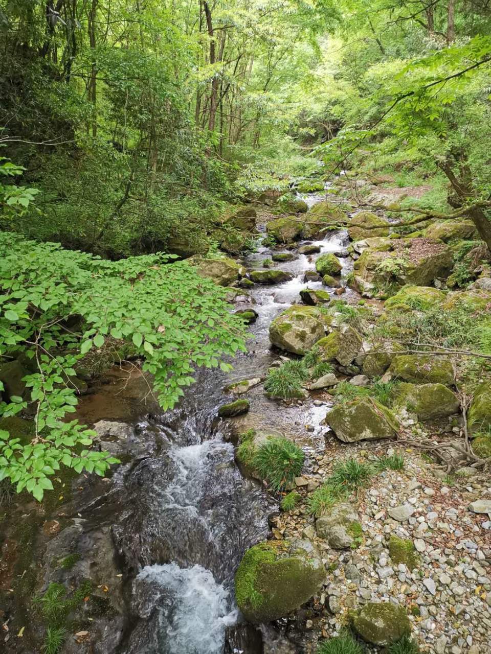 gtaSylbPoVM1YMzTusmg-osqcPHgsjZb7jhCYbhBnO57ZsPYPcbmrKGBpk2LCmIg