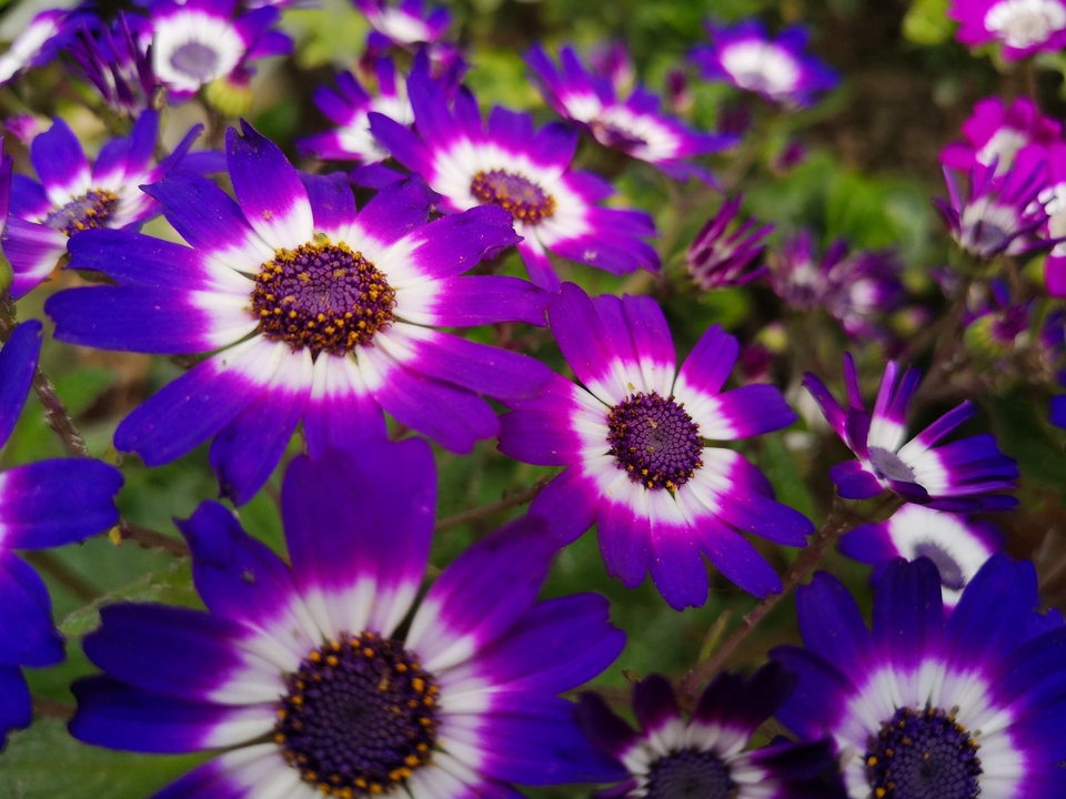 mmexport1551008466356