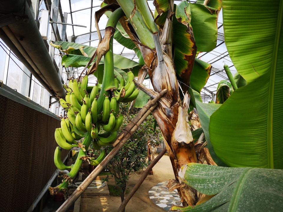 mmexport1551008504490