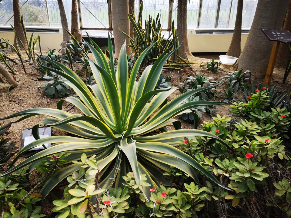 mmexport1551008508082