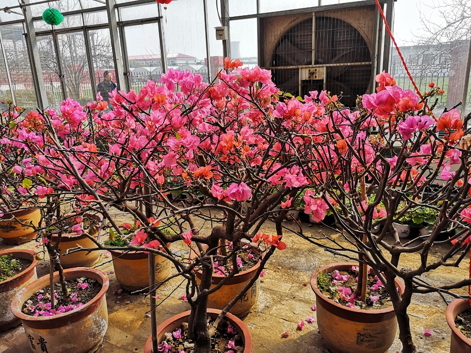 mmexport1551008517742