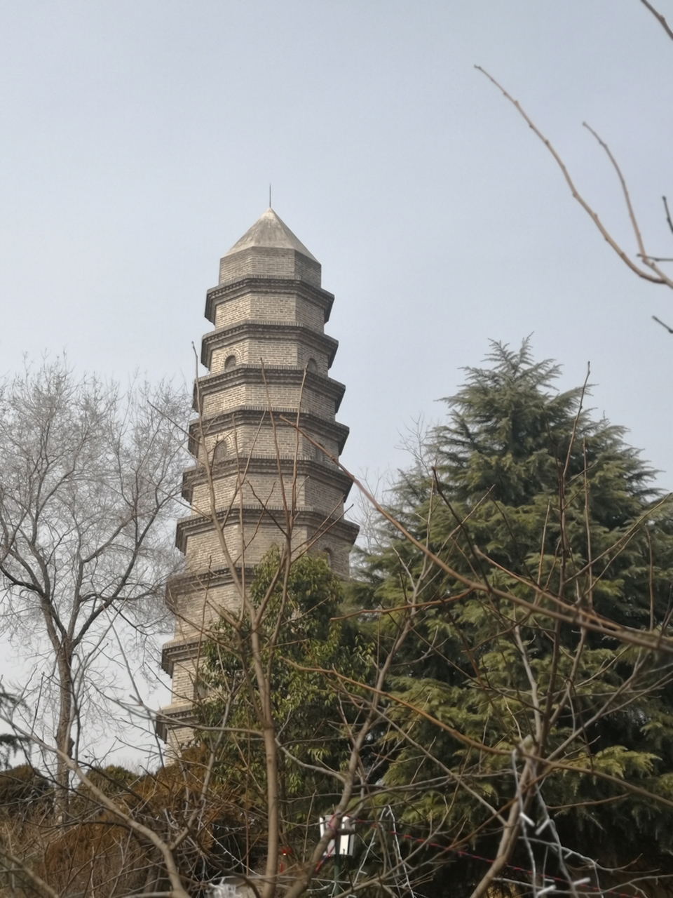 mmexport1551010367484