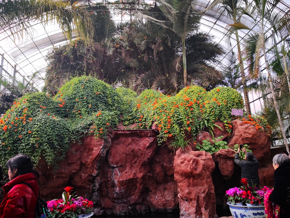 mmexport1551010411586