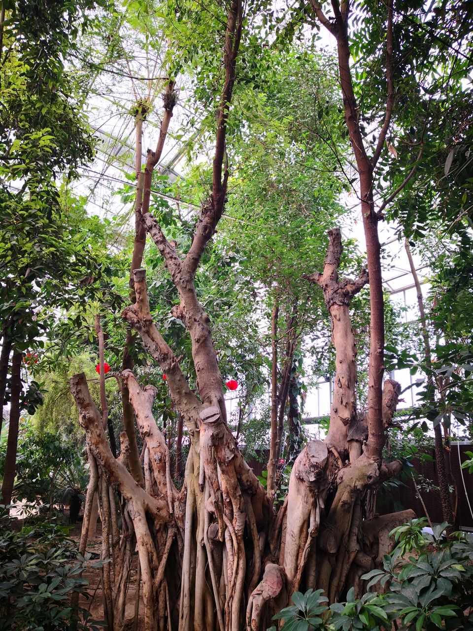 mmexport1551010424924