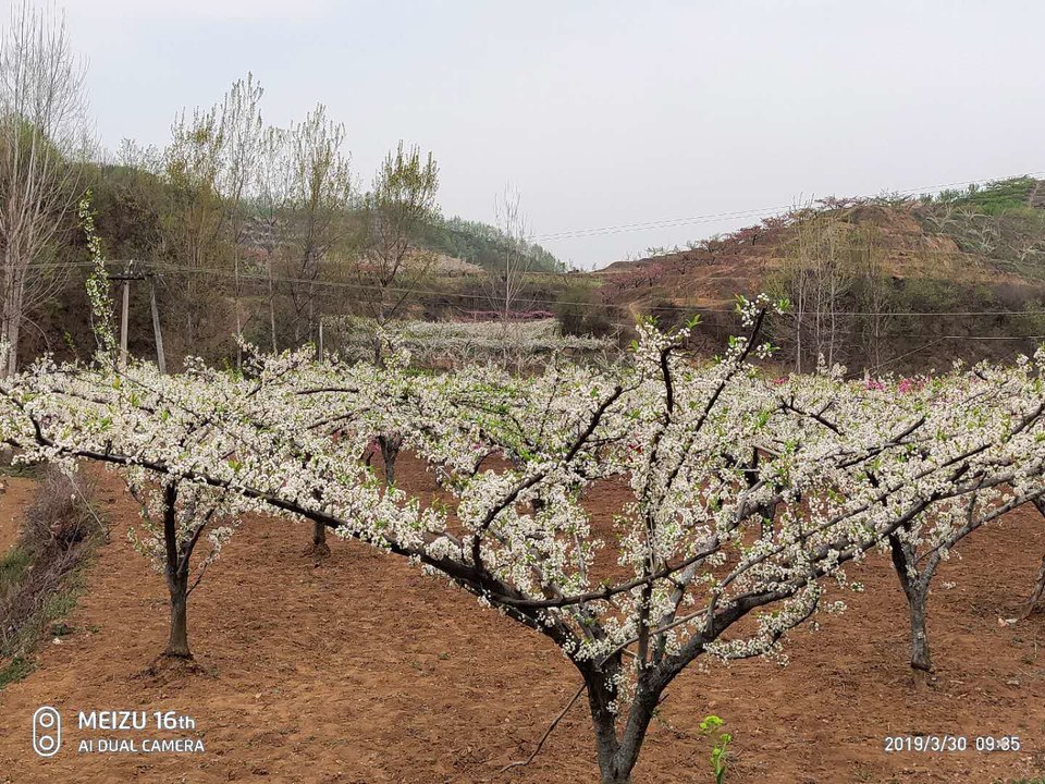 Pf13z_t8O1SU2R4ReIcZCv-LGOD0ArR4X003xNtoAKJ10o6asHWV5hrD00yFRD4f