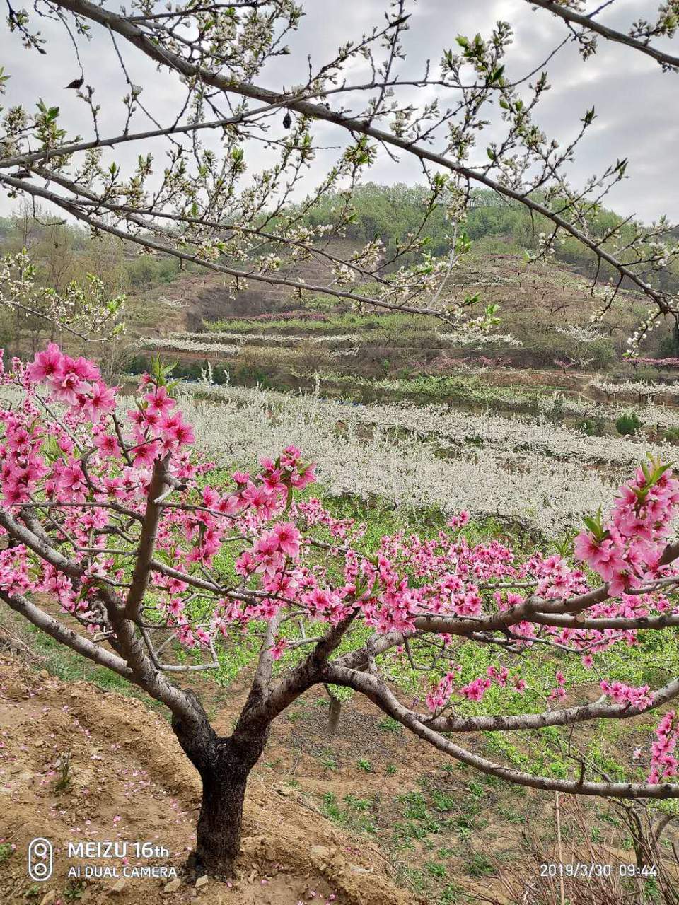 ra1n2At3N7O5--X-F8mhFZ1RdWB-svcHXDsoilnnm3hN7hUOJy047xuax9a5snm8