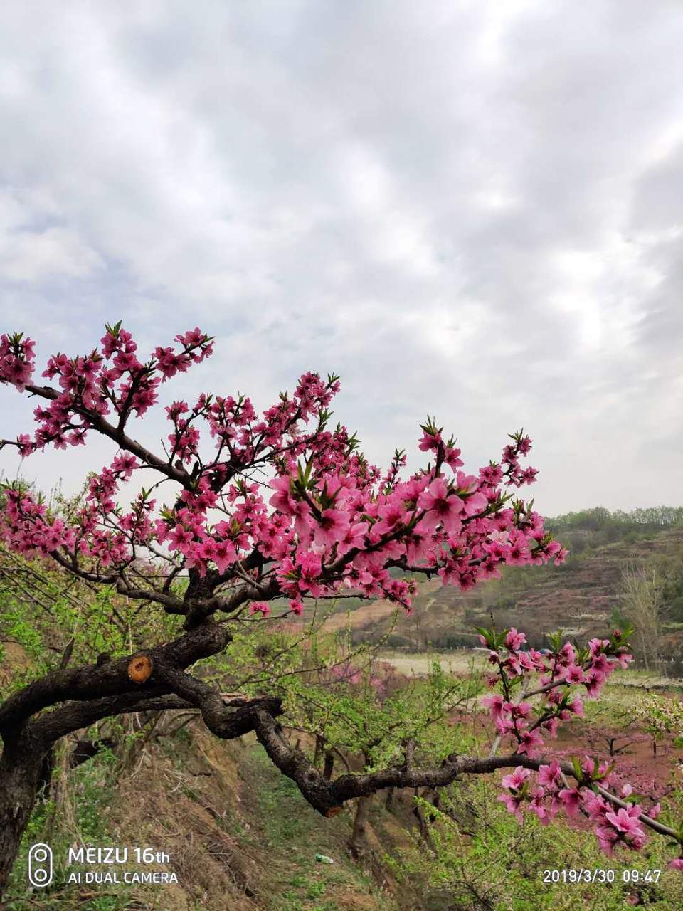 pesny0zpsKGzQ1WS2B088moTAQtImU_H0DyWGJJniZDtwmAJgO2y1Yn2zh9eEeV3