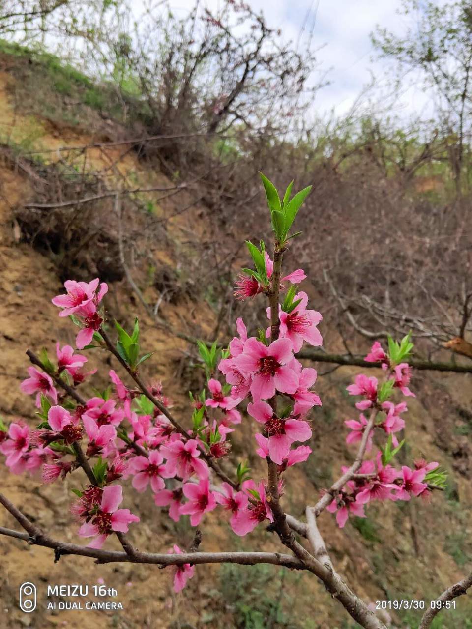 Ww982YK50ZSG7ZbyKk671AUd4gAfplf-MgOqFFq4izBewulcEB-X2HNoLZb5xSp9